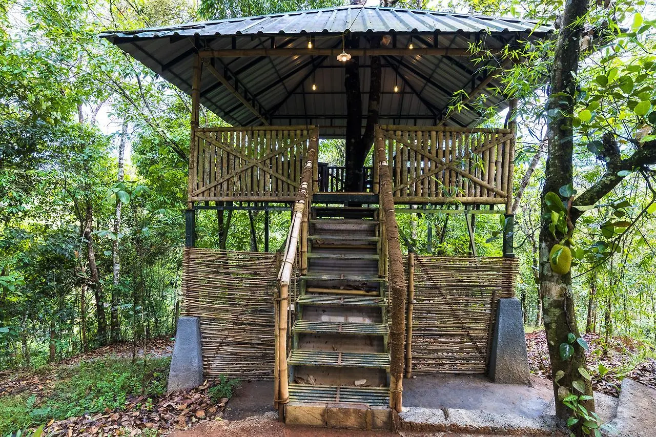 Letstay Adithya Nature Resort & Spa Vythiri